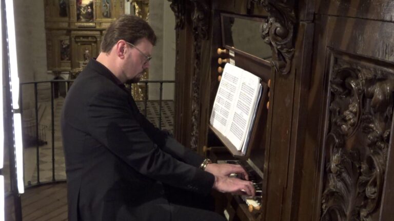 Lee más sobre el artículo Proyección en pantalla de concierto de órgano: Sietze de Vries